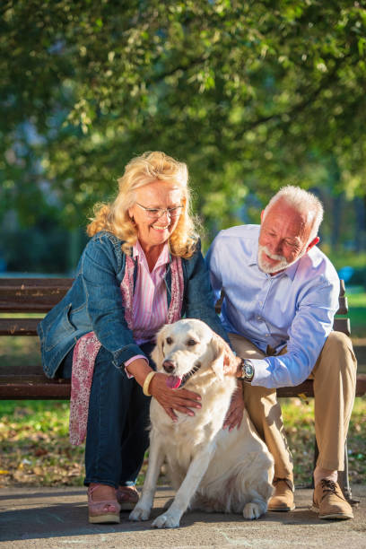istock Happy Senior couple outdoors with dog enjoying 1135003456