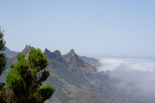 istock spectacular view over the mountain Anaga 1135003542