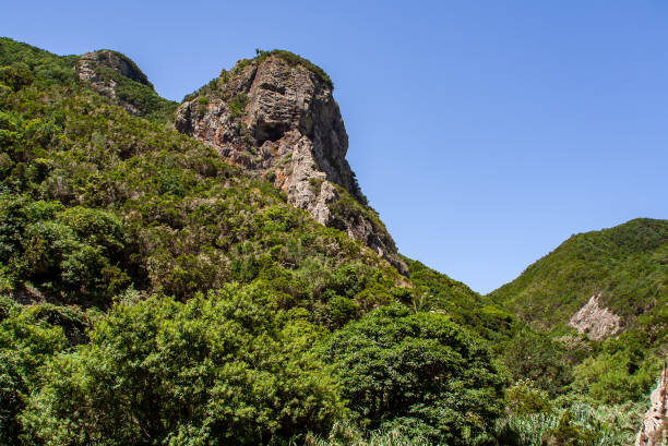 istock big view over forest valley to a big rock 1135003568