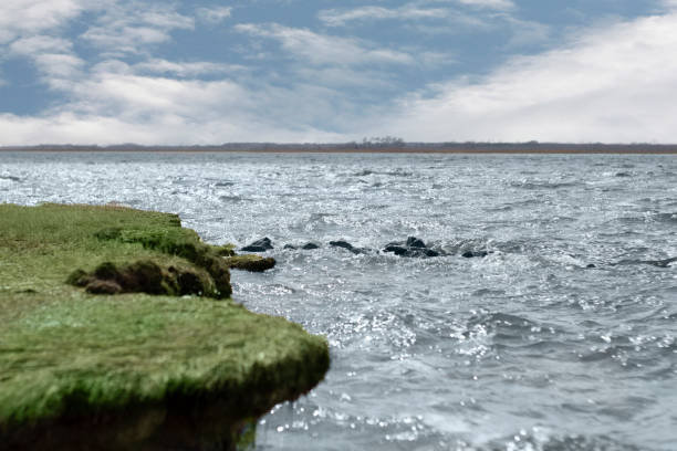 rand der bucht - cliff at the edge of grass sea stock-fotos und bilder