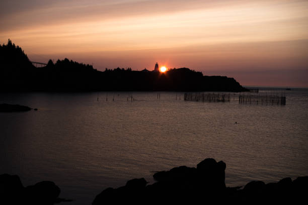 wschód słońca nad jaskółką z pieczęcią w zatoce - grand manan island zdjęcia i obrazy z banku zdjęć