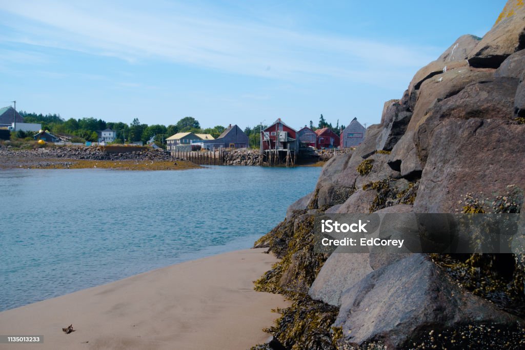 Capannoni da pesca a Seal Cove - Foto stock royalty-free di Acqua