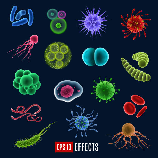 ilustrações de stock, clip art, desenhos animados e ícones de vector germ, bacteria and virus icons - microscope science healthcare and medicine isolated