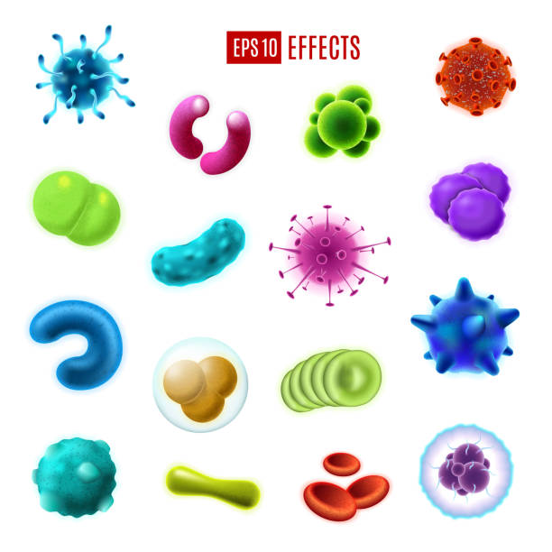 Bacteria cells, germs and viruses. Microorganisms Bacteria cells, viruses and germs vector icons of infectious disease pathogens, harmful microorganisms and gut flora microbes. Human health care, hygiene and epidemic prevention theme infamous stock illustrations