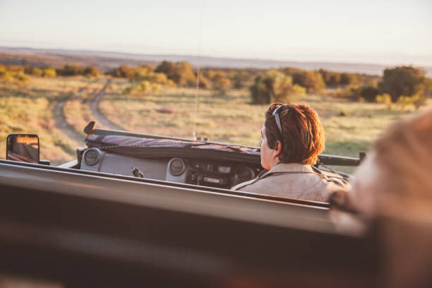 Driving in Safari