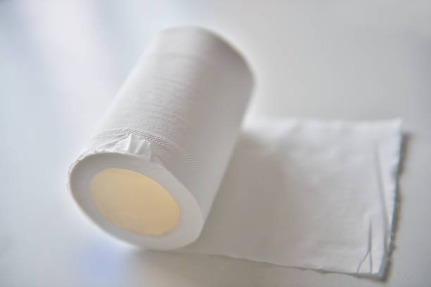 istock Toilet Paper Roll 1135022327