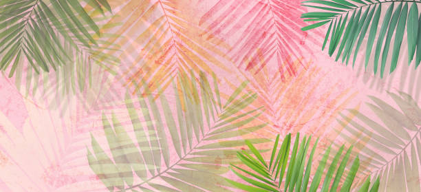 green palm leaves over pink concrete wall