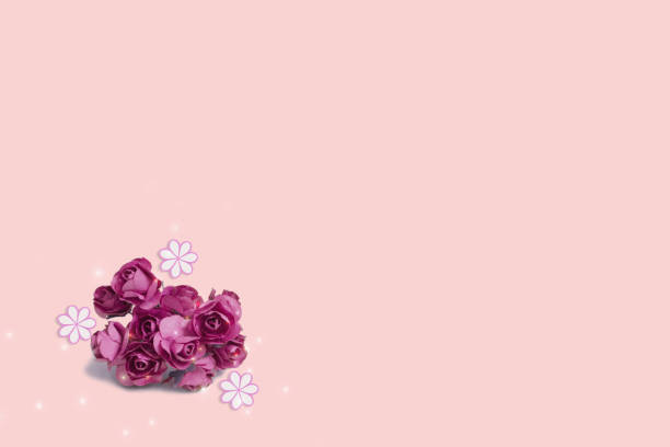 istock purple paper roses on a pink background 1135024491