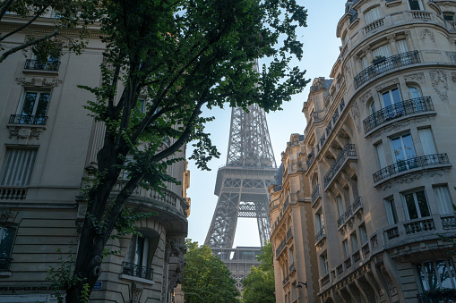 Eiffel Tower amidst lush greenery, embraced by trees