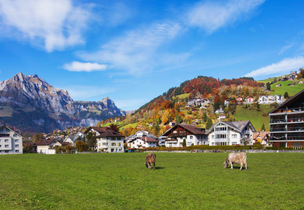 Town of Engelberg in Switzerland in autumn The town of Engelberg in Switzerland at the middle of October. Engelberg is a resort town in the Swiss canton of Obwalden. engelberg photos stock pictures, royalty-free photos & images