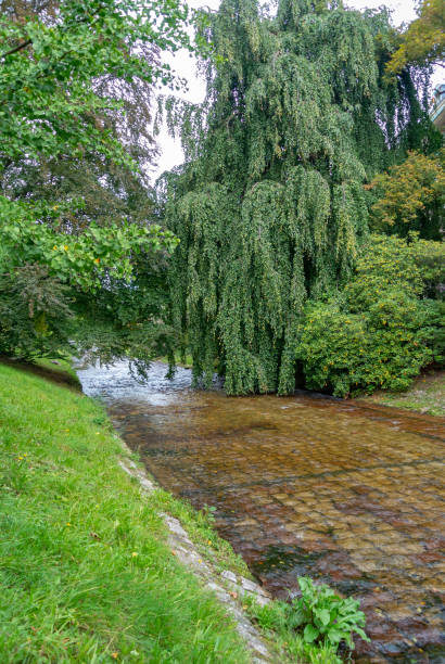 bellissimo parco nel cuore di baden-baden, germania - baden baden green street fountain foto e immagini stock