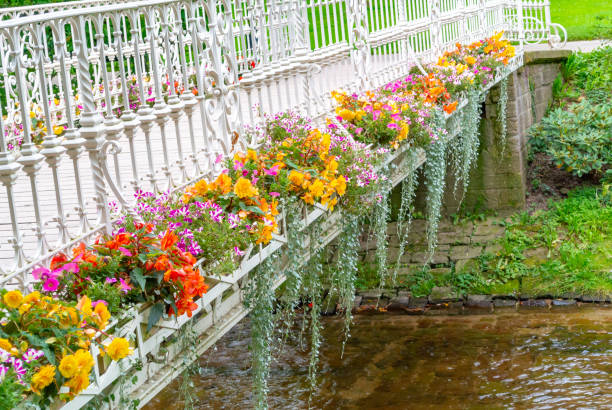 мост в красивом парке в самом сердце баден-бадена, германия - baden baden green street fountain стоковые фото и изображения