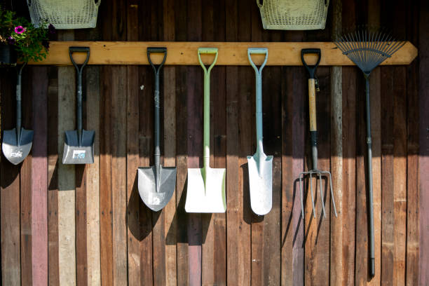 istock Gardening tools hang on Wooden wall, tool concept 1135028311