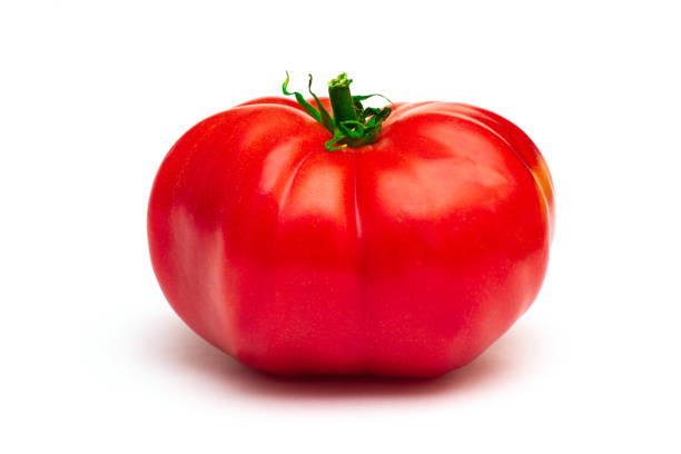 große gentechnisch veränderte tomate auf weißem hintergrund - genetic modification dna tomato genetic research stock-fotos und bilder