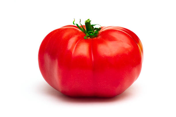 tomate grande genéticamente modificado sobre fondo blanco - genetic modification dna tomato genetic research fotografías e imágenes de stock