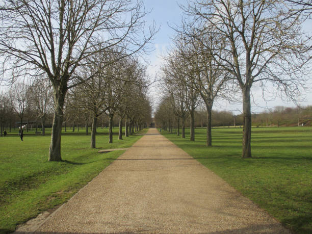 istock Public park  Tree-lined path seen in perspective  Sunny winter 1135029377