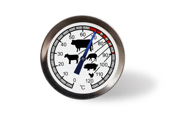 Meat thermometer isolated on a white background with shadow.