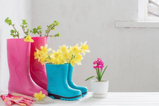 istock rubber boots and spring flowers on white background 1135032128