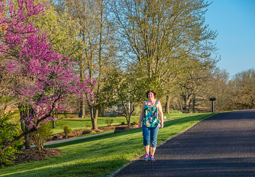 Attractive mature woman walking down street in springtime in American Midwest; blooming redbud trees on left