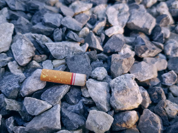 istock Close-up Burnt Cigarette Leftover on Small Stones 1135042921