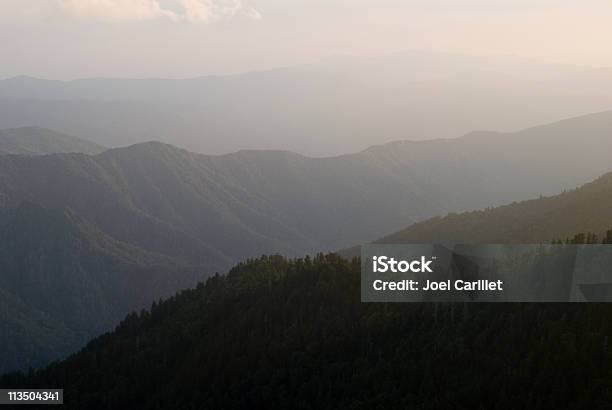 Montagne Fumose Al Tramonto Dal Monte Leconte - Fotografie stock e altre immagini di Paesaggio collinare - Paesaggio collinare, Tennessee, Albero