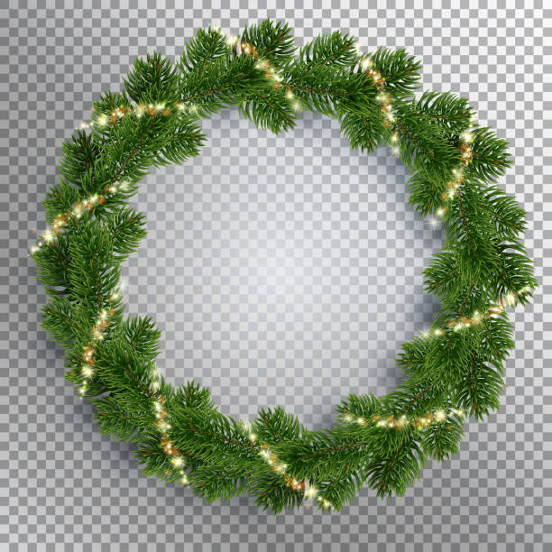 wreath of Christmas tree branches-03-04 Christmas fir-tree wreath with glowing lights. Golden shining sparks. Transparent background. Realistic illustration. Vector EPS10. evergreen garland stock illustrations