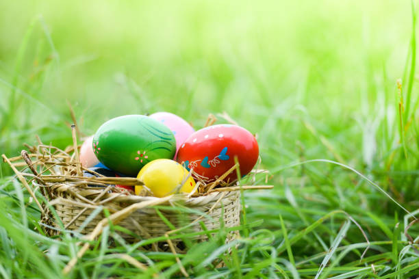 istock Easter eggs hunt on green grass  outdoor 1135045202