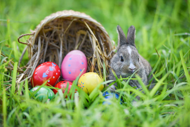 istock Easter bunny and Easter eggs on green grass outdoors 1135045222