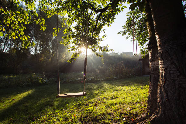 istock Baby swing morning dawn 1135045560