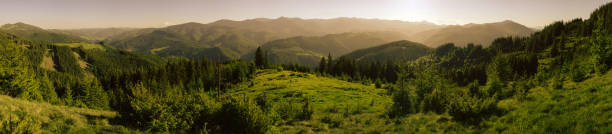 Beautiful panorama of covered with forests mountain ranges