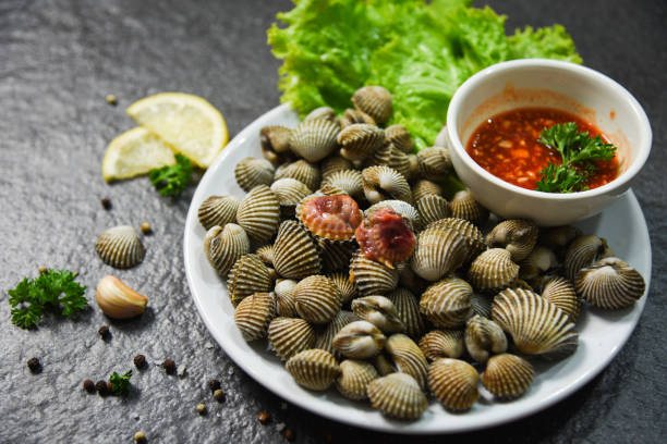 istock Shellfish Seafood plate cockles fresh raw ocean gourmet dinner with herbs and spices 1135046805