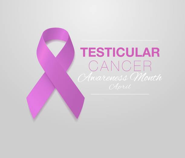 Testicular Cancer Awareness Calligraphy Poster Design. Realistic Orchid Ribbon. April is Cancer Awareness Month. Vector Testicular Cancer Awareness Calligraphy Poster Design. Realistic Orchid Ribbon. April is Cancer Awareness Month. Vector Illustration. phallic object stock illustrations