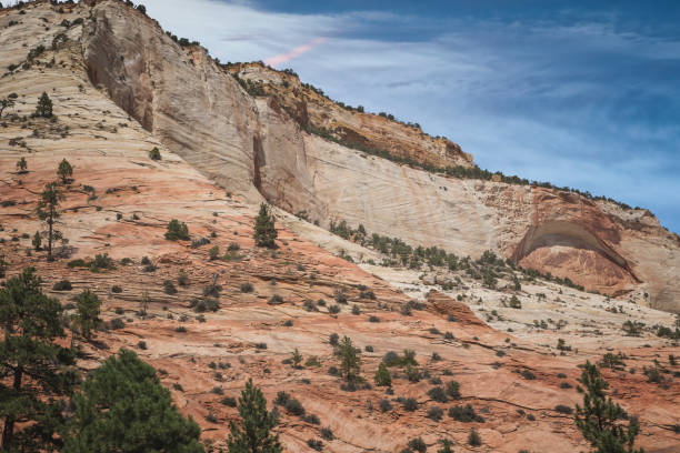 istock Zion National Park, Utah 1135051839