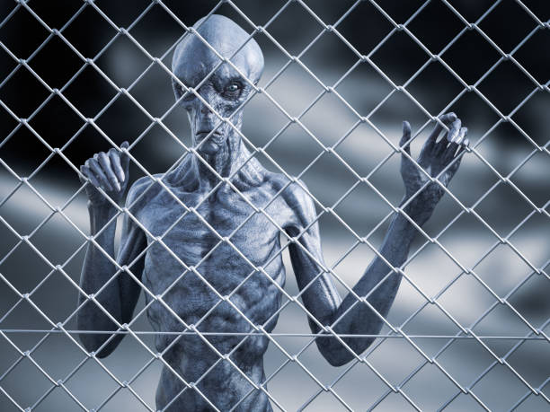3D rendering of an alien creature captive behind a fence. 3D rendering of an alien creature standing trapped behind a chain link wire steel metal fence, looking at you. alien grey stock pictures, royalty-free photos & images