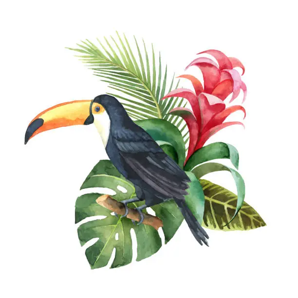 Vector illustration of Watercolor vector composition with Toucan, exotic leaves and flowers.