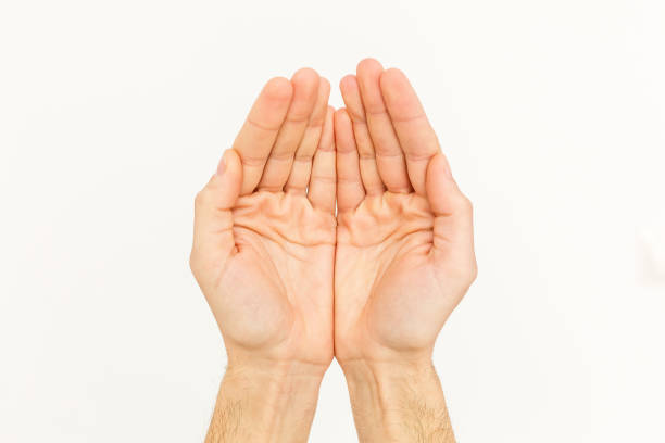 istock Man's cupped hands showing something on white background. Palms up. High resolution product 1135055931