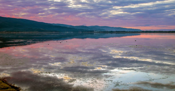 istock Lagoon Orbetello 1135057588