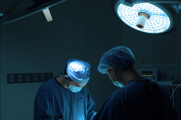 istock two of veterinarian surgery in operation room 1135057776