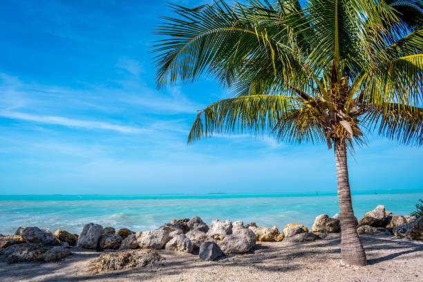 The overlooking view of the shore in Key West, Florida stock photo