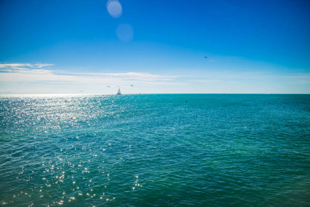 The overlooking view of the nature in the island of Florida Keys