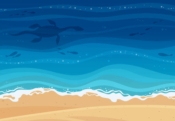 лох-несс монстр плавание под водой. - dinosaur animal cartoon blue stock illustrations