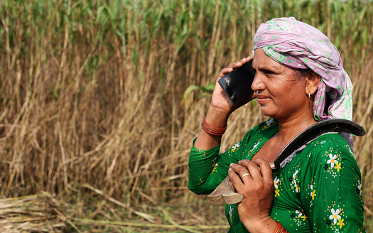 Female farmer of Indian ethnicity standing near sorghum crop field & talking on mobile phone.
