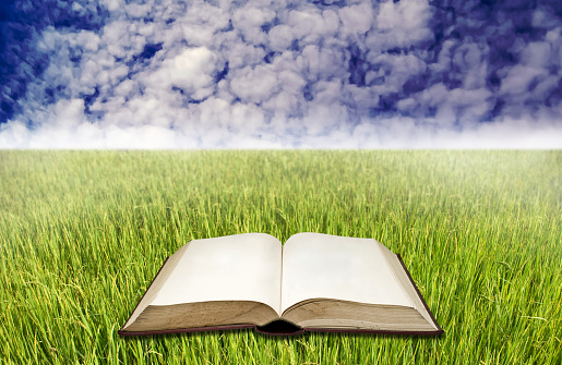 Illustration of green landscape with hills covered grass and tree on open book on gray background with clouds