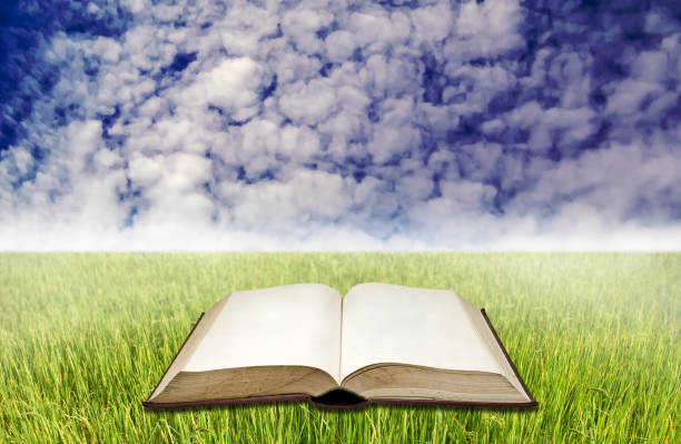 istock Blank book on rice field with blue sky 1135066874