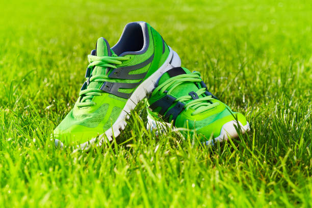 istock sneaker shoes on green grass field 1135068176