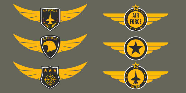날개, 방패와 별 공군 로고입니다. 군사 배지. 육군 패치. 벡터 일러스트입니다. - air force insignia military armed forces stock illustrations