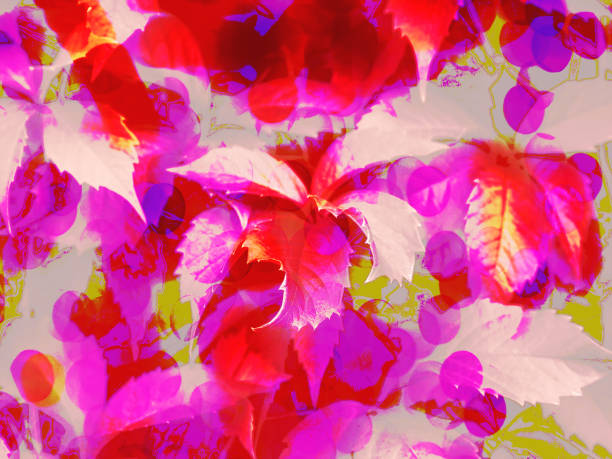 istock Abstract background with leaves, red pink bokeh 1135069980