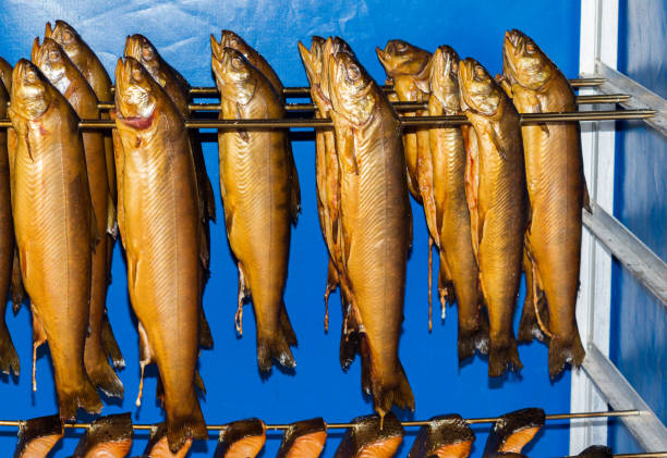 pesce affumicato fresco - halibut flatfish fish hanging foto e immagini stock