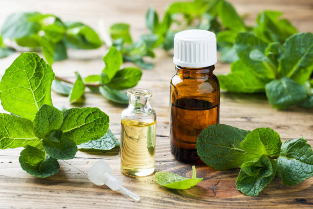 istock Essential aroma oil with peppermint on wooden background. Selective focus, copy space. 1135076925