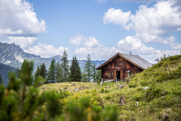 paesaggio montano idilliaco nelle alpi: chalet di montagna, prati e cielo blu - capanna foto e immagini stock